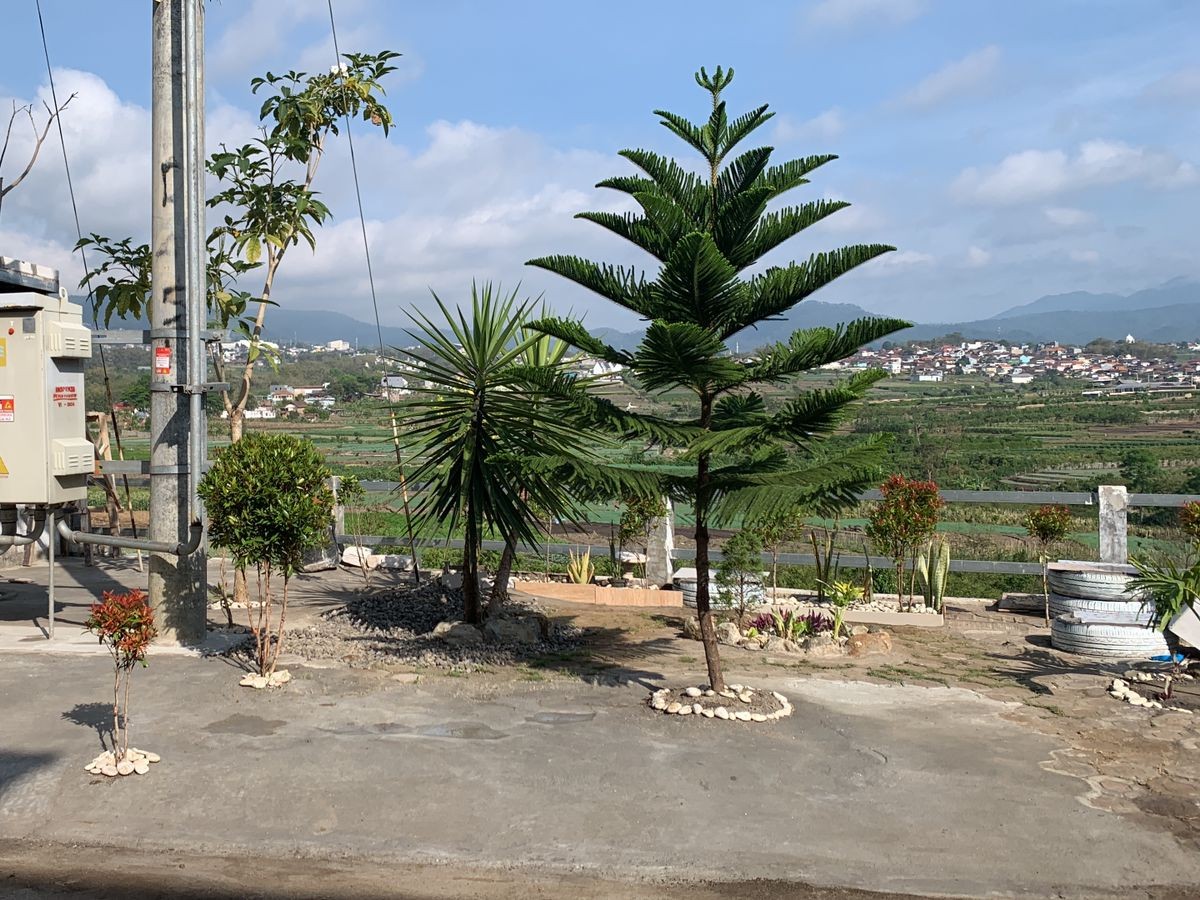 taman Siang